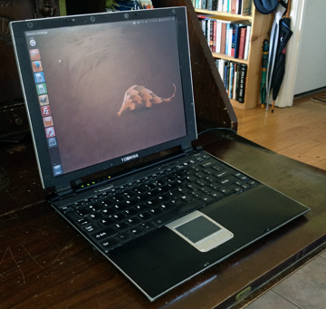 Toshiba r100 running Ubuntu 12.04